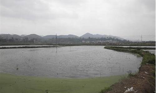 惠水11月份天气_惠水县一月平均气温